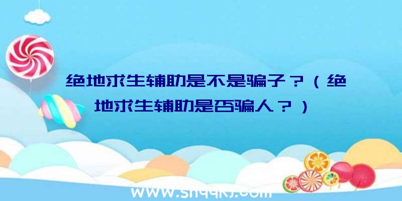 绝地求生辅助是不是骗子？（绝地求生辅助是否骗人？）